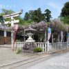 八幡神社-高虎藤まつり