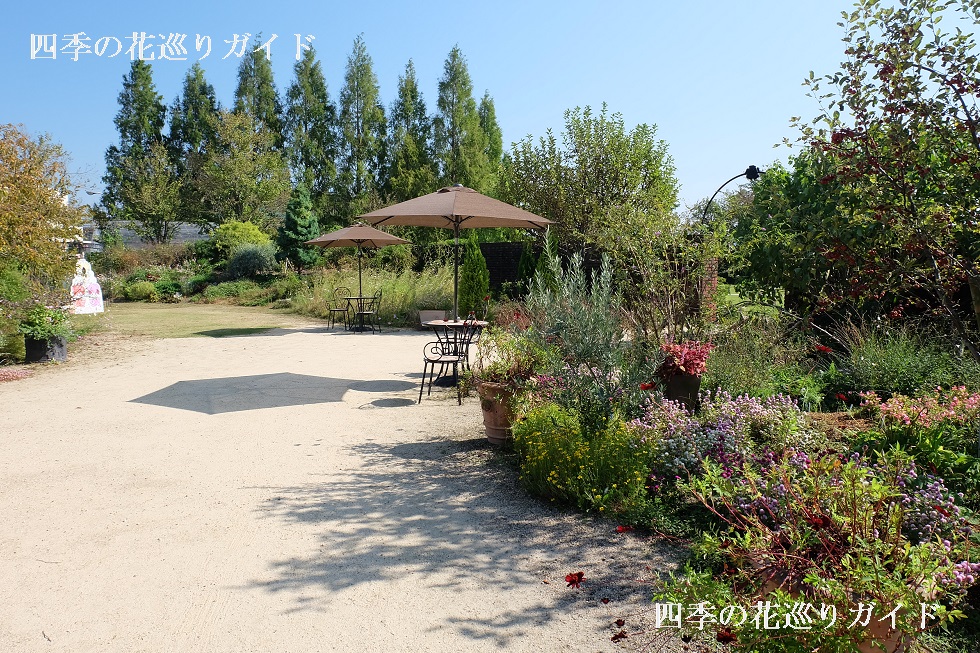 びわ湖大津館イングリッシュガーデン