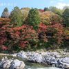 香嵐渓の紅葉