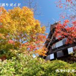 下呂温泉合掌村の紅葉