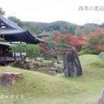 高台寺の紅葉