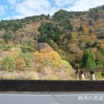 中山七里の紅葉