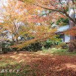 大原三千院の紅葉