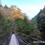 付知峡の紅葉