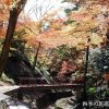 水沢もみじ谷の紅葉