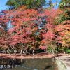 曽木公園の紅葉