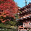 宇治・三室戸寺の紅葉