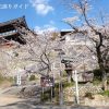関善光寺の桜