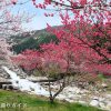 花桃の里パークランド周辺