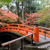 北野天満宮の紅葉