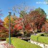 曽木公園の紅葉