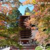 談山神社の紅葉