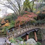 浜松城公園の紅葉2019